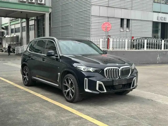 BMW X5 2023 Model xDrive30Li Exclusive Model M Sports Set – фото 3
