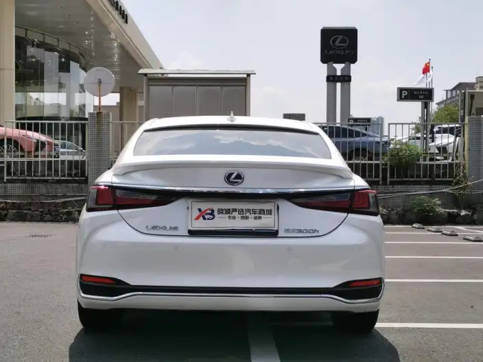 Lexus ES 2020 Model 300h Executive Edition China VI – фото 5
