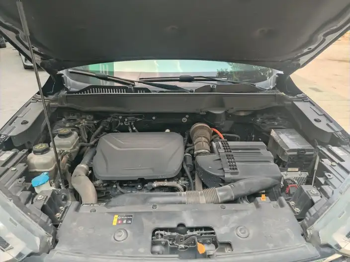 Haval H6 PHEV 2022 Model 1.5T DHT-PHEV 55km Comfort Edition – фото 10