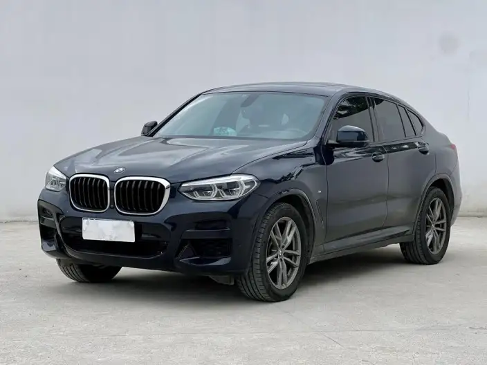 BMW X4 2020 Model xDrive25i M Sports Set – фото 1