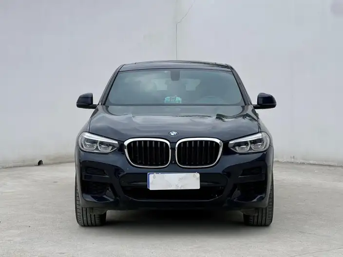 BMW X4 2020 Model xDrive25i M Sports Set – фото 2