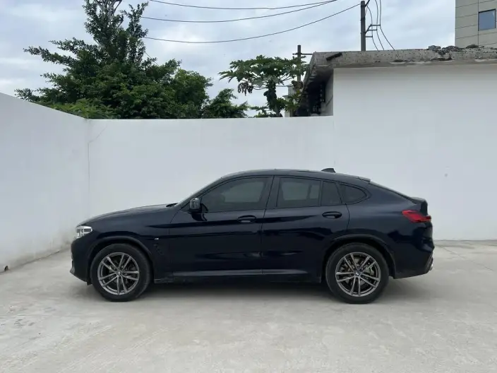 BMW X4 2020 Model xDrive25i M Sports Set – фото 3