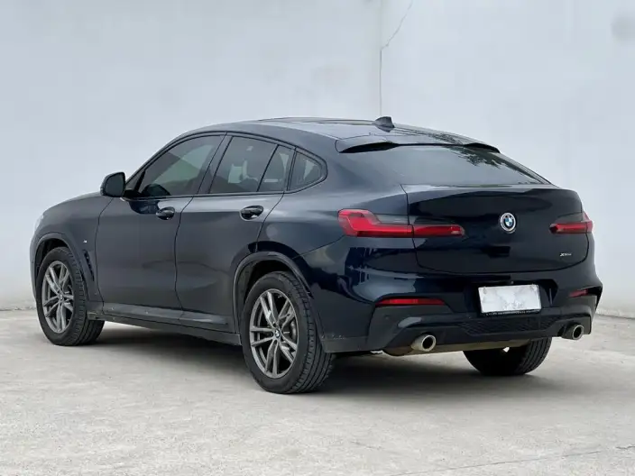 BMW X4 2020 Model xDrive25i M Sports Set – фото 4