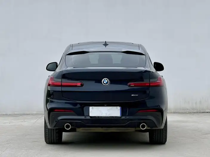 BMW X4 2020 Model xDrive25i M Sports Set – фото 5