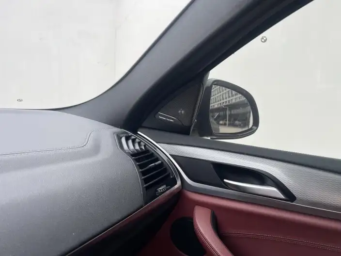 BMW X4 2020 Model xDrive25i M Sports Set – фото 7