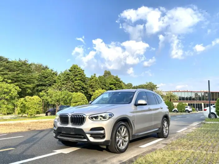 BMW X3 2020 Model xDrive25i Luxury Set – фото 1