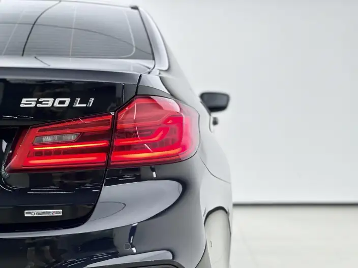 BMW 5 Series 2020 Model 530Li Leading Model M Sports Set – фото 8
