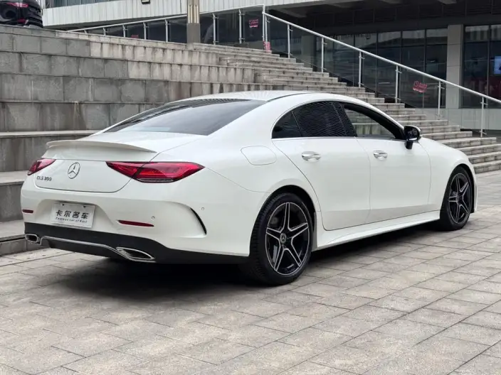 Mercedes-Benz CLS 2022 Model CLS 300 Luxury Model – фото 6