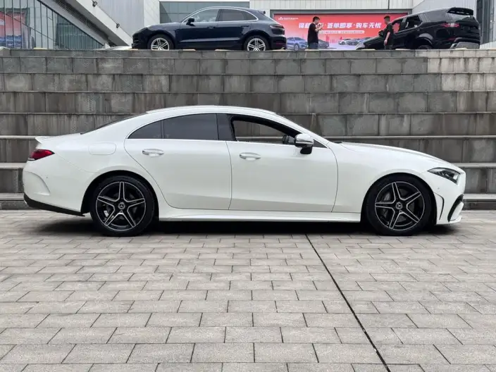 Mercedes-Benz CLS 2022 Model CLS 300 Luxury Model – фото 7