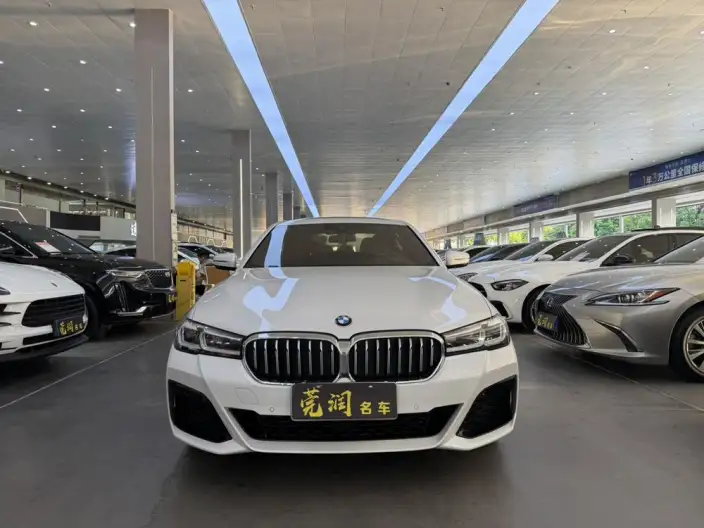 BMW 5 Series 2021 Model Facelift 530Li Leading Model M Sports Set – фото 2