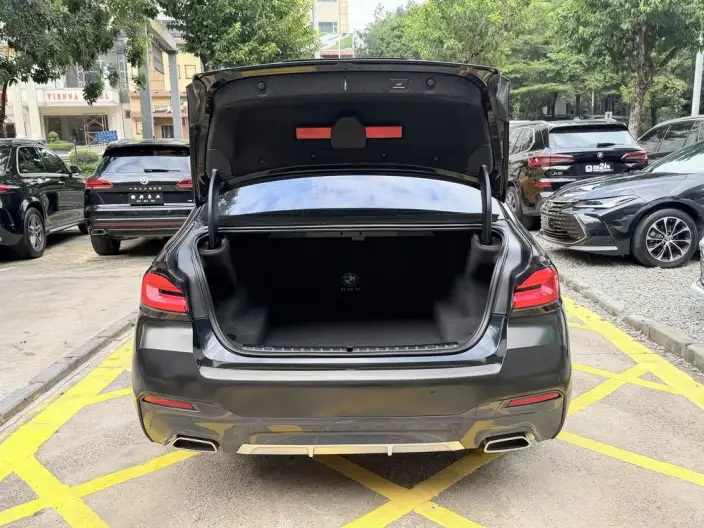 BMW 5 Series 2021 Model Facelift 530Li Leading Model M Sports Set – фото 10