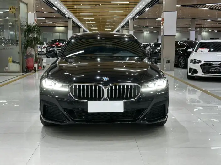 BMW 5 Series 2021 Model 530Li Leading Model M Sports Set – фото 2