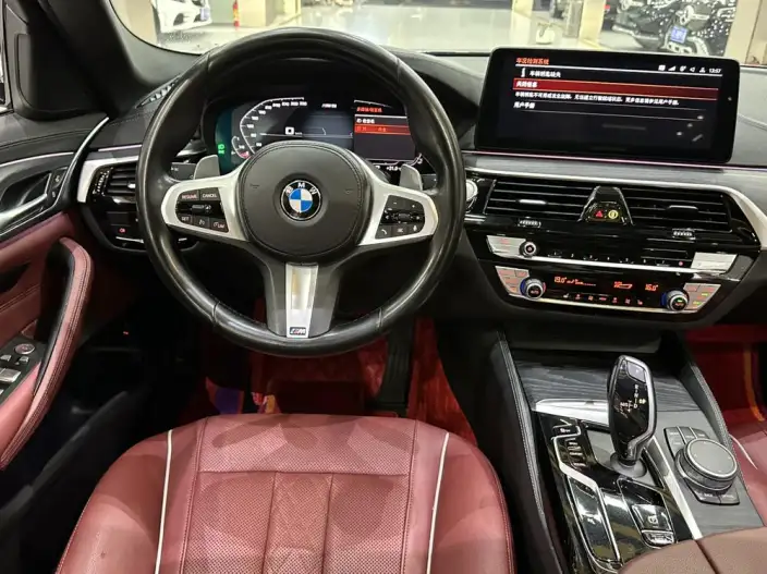 BMW 5 Series 2021 Model 530Li Leading Model M Sports Set – фото 10