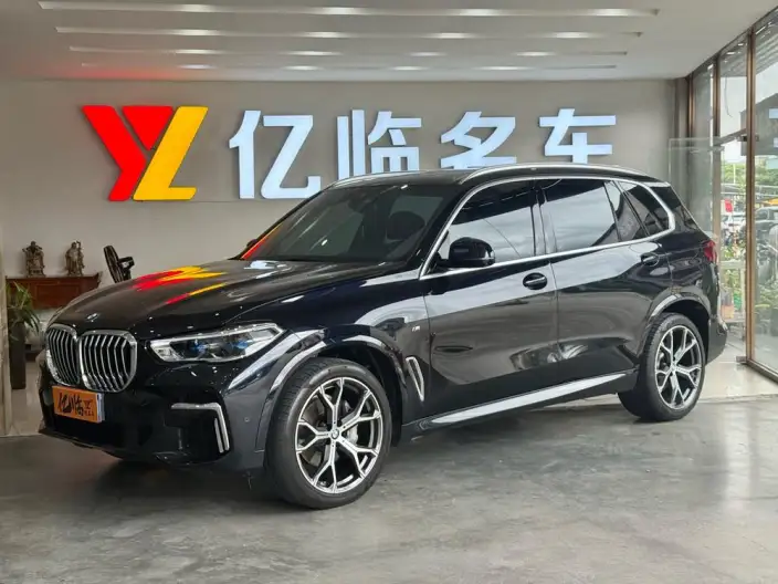 BMW X5 2022 Model Facelift xDrive 40Li M Sports Set – фото 1