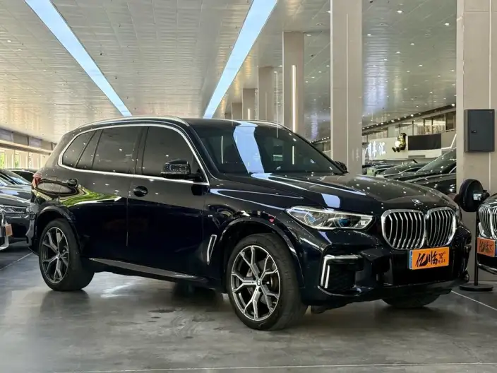 BMW X5 2022 Model Facelift xDrive 40Li M Sports Set – фото 3