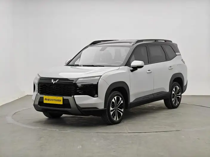 Xingguang 560 PHEV 2026 Model 125km Luxury Model