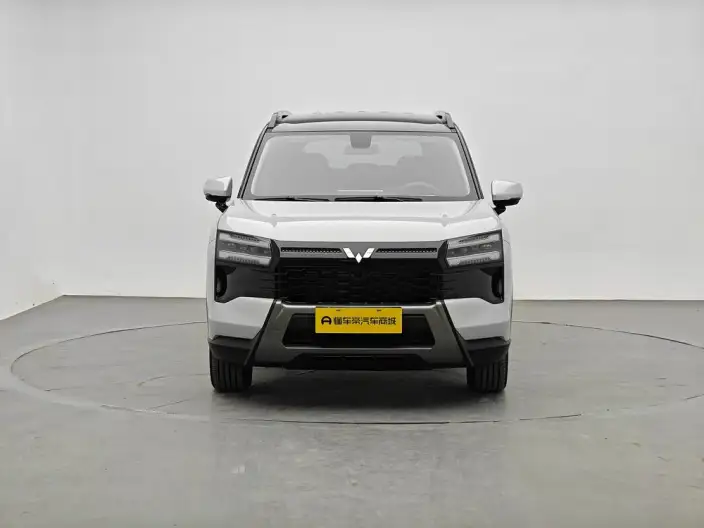Xingguang 560 PHEV 2026 Model 125km Luxury Model