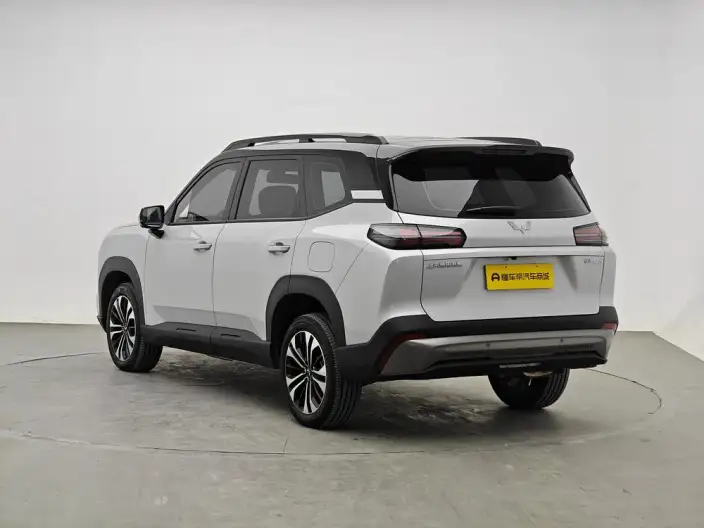 Xingguang 560 PHEV 2026 Model 125km Luxury Model – фото 5