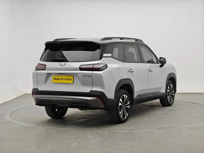 Xingguang 560 PHEV 2026 Model 125km Luxury Model – фото 7