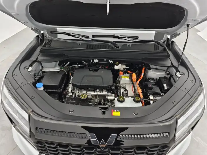 Xingguang 560 PHEV 2026 Model 125km Luxury Model – фото 10