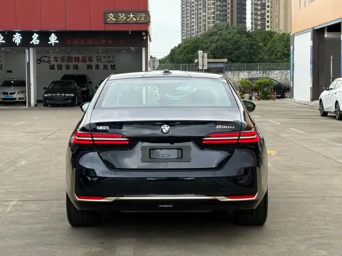 BMW 5 Series 2024 Model 530Li Exclusive Model Luxury Set – фото 5