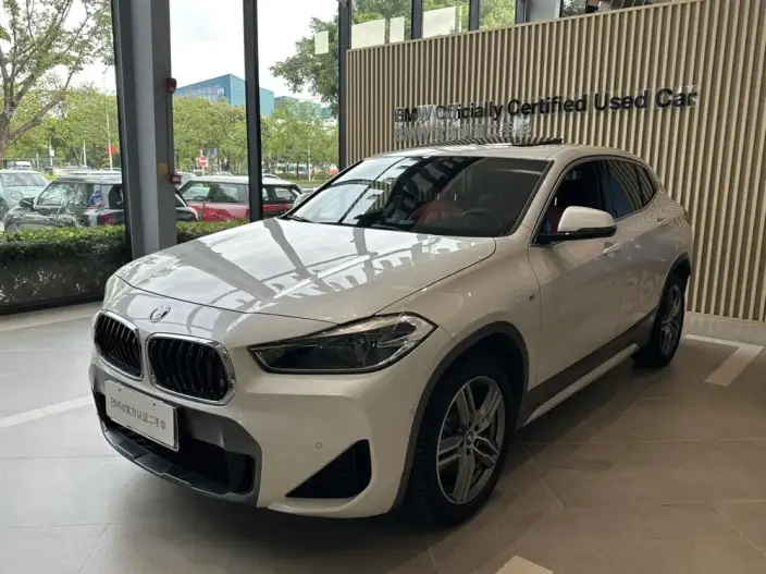 BMW X2 2020 Model sDrive25i Leading Model M Off-road Set – фото 1