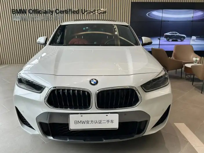 BMW X2 2020 Model sDrive25i Leading Model M Off-road Set – фото 2