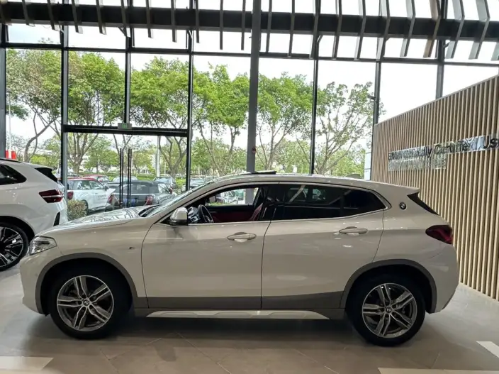 BMW X2 2020 Model sDrive25i Leading Model M Off-road Set – фото 3