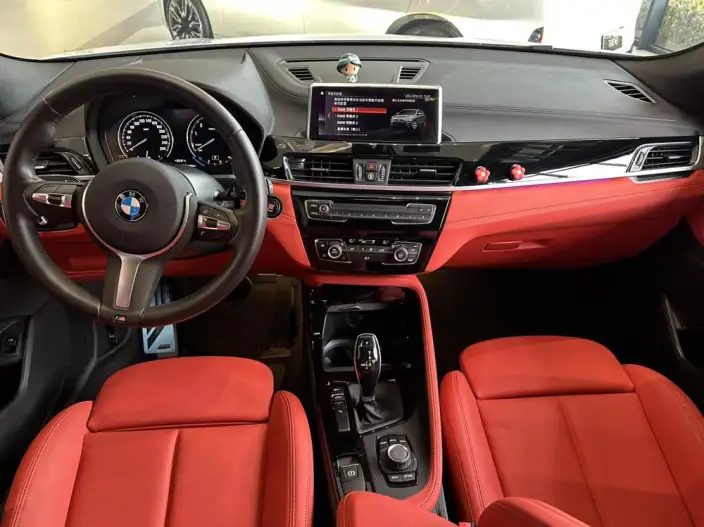 BMW X2 2020 Model sDrive25i Leading Model M Off-road Set – фото 7