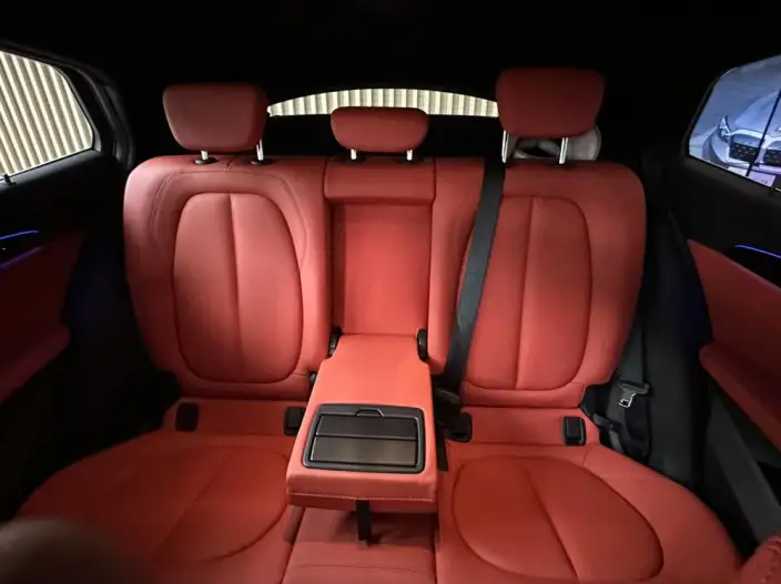BMW X2 2020 Model sDrive25i Leading Model M Off-road Set – фото 9