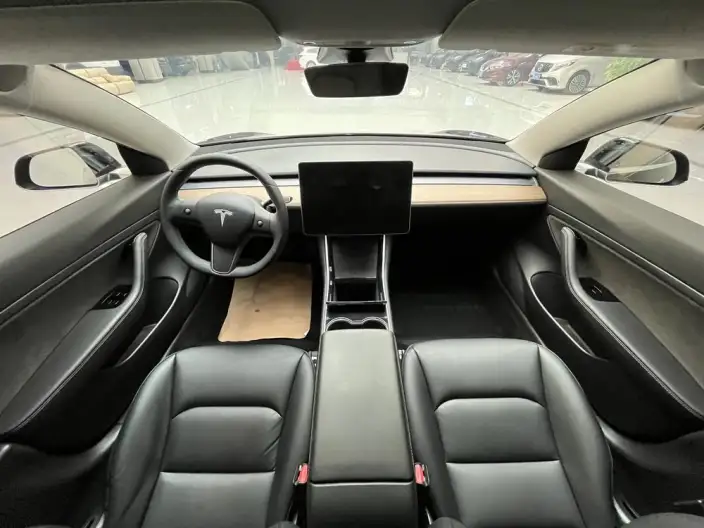 Model 3 2020 Model Standard Battery Life Rear Drive L Class Edition – фото 8