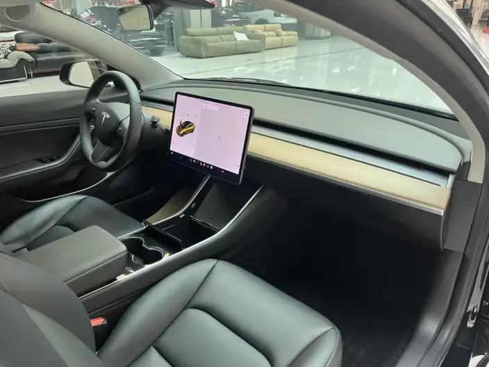 Model 3 2020 Model Standard Battery Life Rear Drive L Class Edition – фото 9
