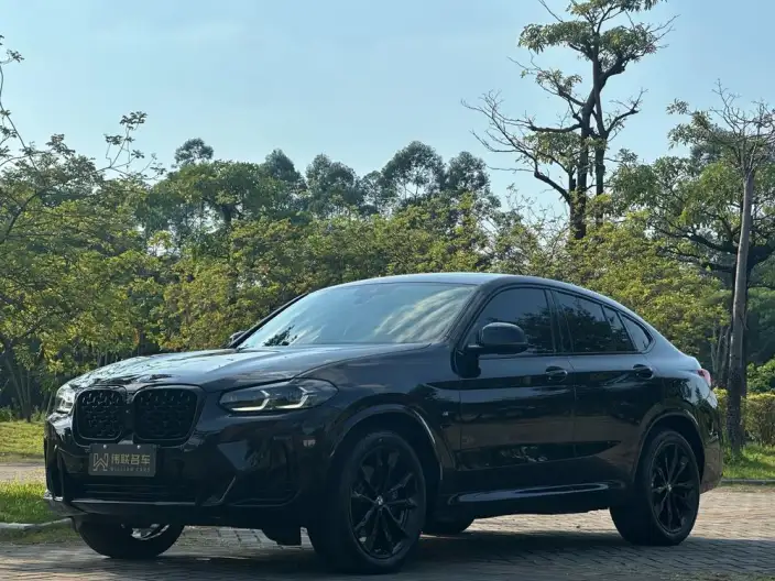 BMW X4 2022 Model Facelift xDrive 30i M Sports Night Set – фото 1