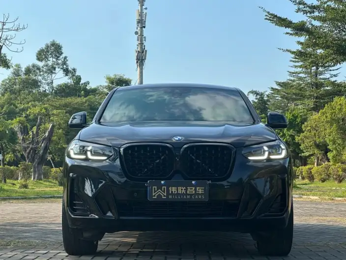 BMW X4 2022 Model Facelift xDrive 30i M Sports Night Set – фото 2