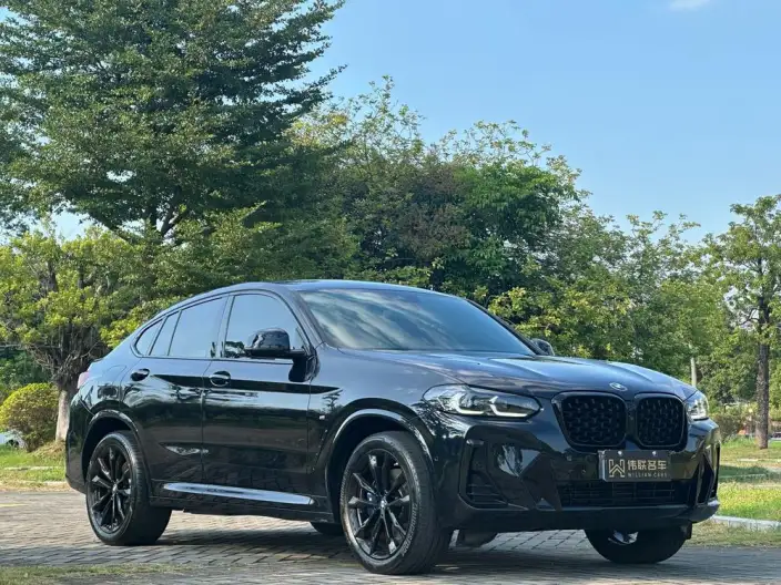 BMW X4 2022 Model Facelift xDrive 30i M Sports Night Set – фото 3