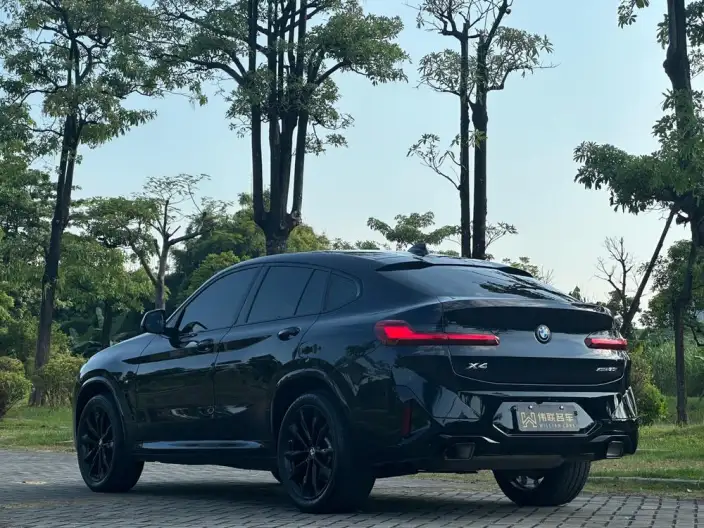 BMW X4 2022 Model Facelift xDrive 30i M Sports Night Set – фото 4