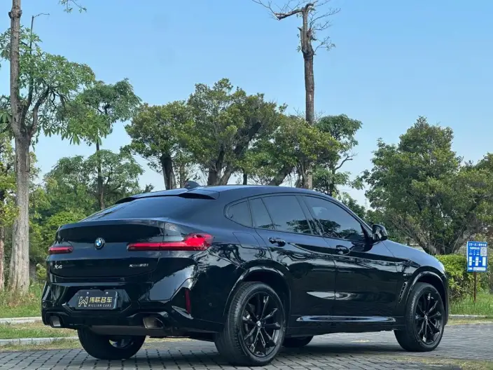 BMW X4 2022 Model Facelift xDrive 30i M Sports Night Set – фото 6
