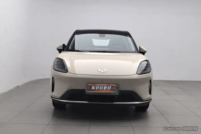 Wuling BingoS 2025 Model 430km Flagship Model