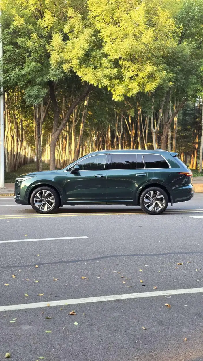 Li Auto ONE 2021 Model Extended Range 6 seat Edition – фото 7