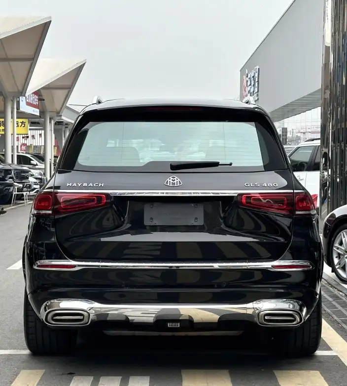 Mercedes-Benz GLS 2020 Model GLS 450 4MATIC Dynamic Model – фото 4