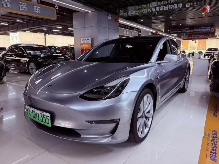 Model 3 2020 Model Long Battery Life Pro Rear-wheel drive version