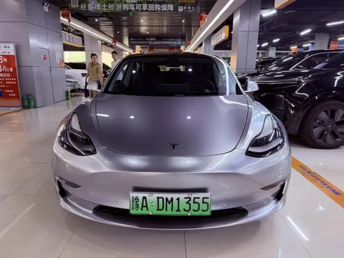 Model 3 2020 Model Long Battery Life Pro Rear-wheel drive version
