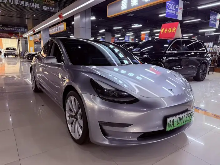Model 3 2020 Model Long Battery Life Pro Rear-wheel drive version