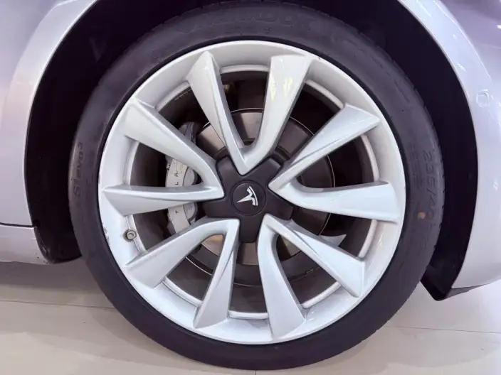 Model 3 2020 Model Long Battery Life Pro Rear-wheel drive version – фото 6
