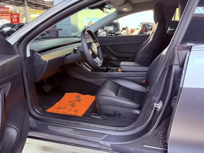 Model 3 2020 Model Long Battery Life Pro Rear-wheel drive version – фото 9