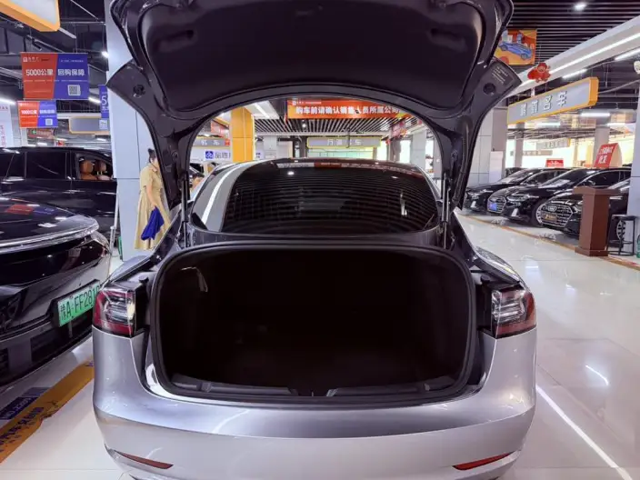 Model 3 2020 Model Long Battery Life Pro Rear-wheel drive version – фото 10