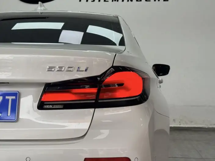 BMW 5 Series 2021 Model 530Li Exclusive Model Luxury Set – фото 7