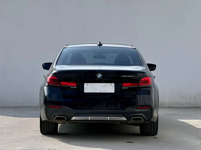 BMW 5 Series 2021 Model 530Li Leading Model M Sports Set – фото 5