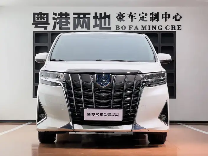 Elfa 2021 Model Hybrid 2.5L Premium Edition – фото 2