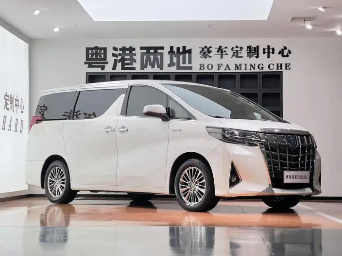 Elfa 2021 Model Hybrid 2.5L Premium Edition – фото 3